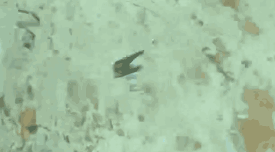 Little Jack Forma Spoon Micro Jig