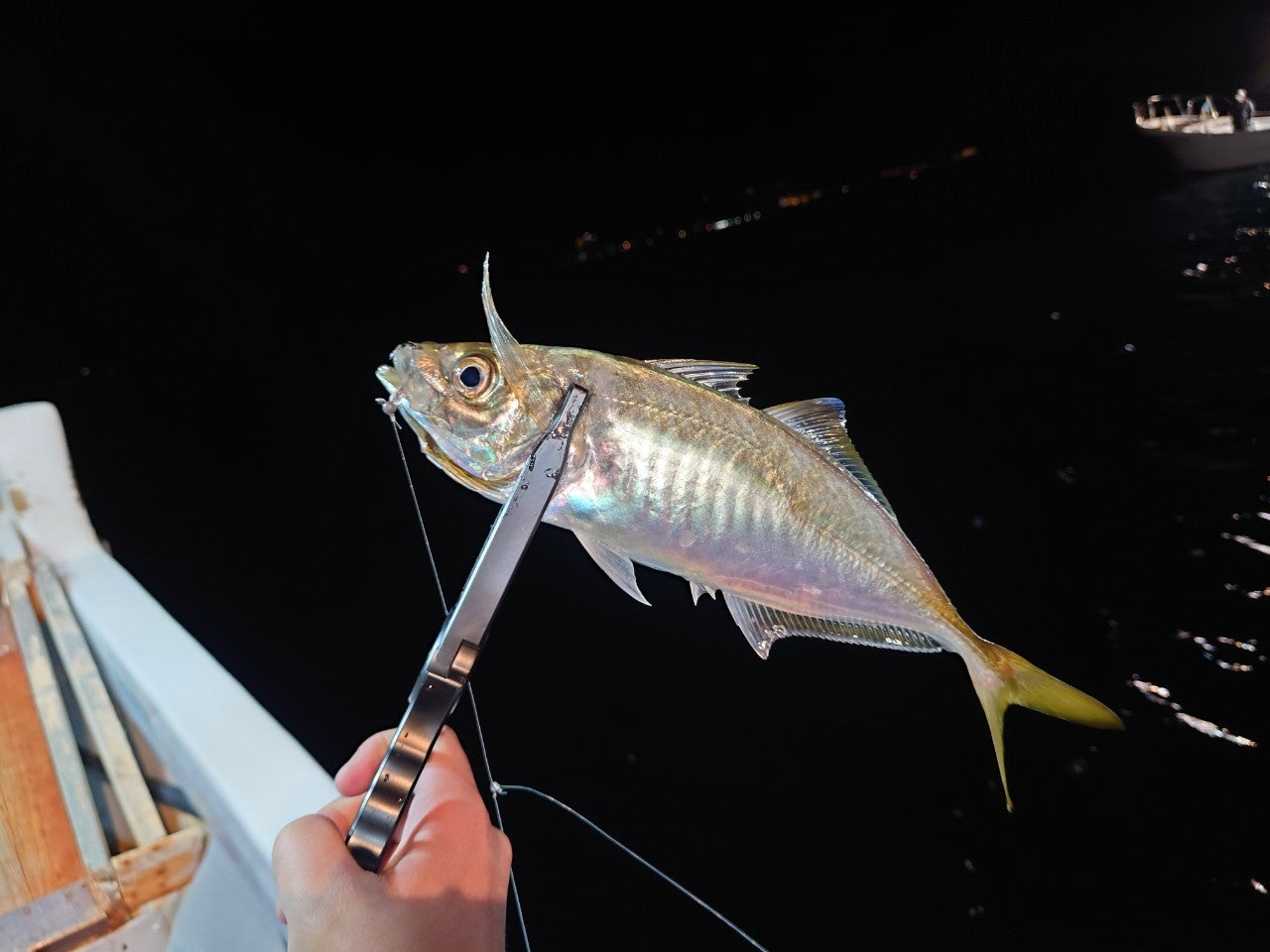 Daiichiseiko MC Custom Gar Grip