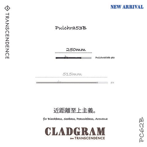 TRANSCENDENCE PC53B Blank