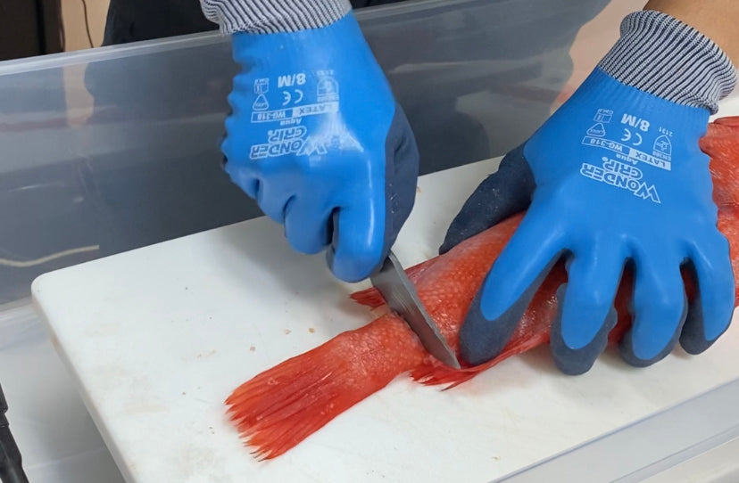 Hapyson Multi-functional Fish Scissors