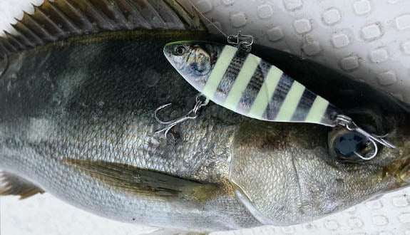 Little Jack More Keen 02 Vibe Blade