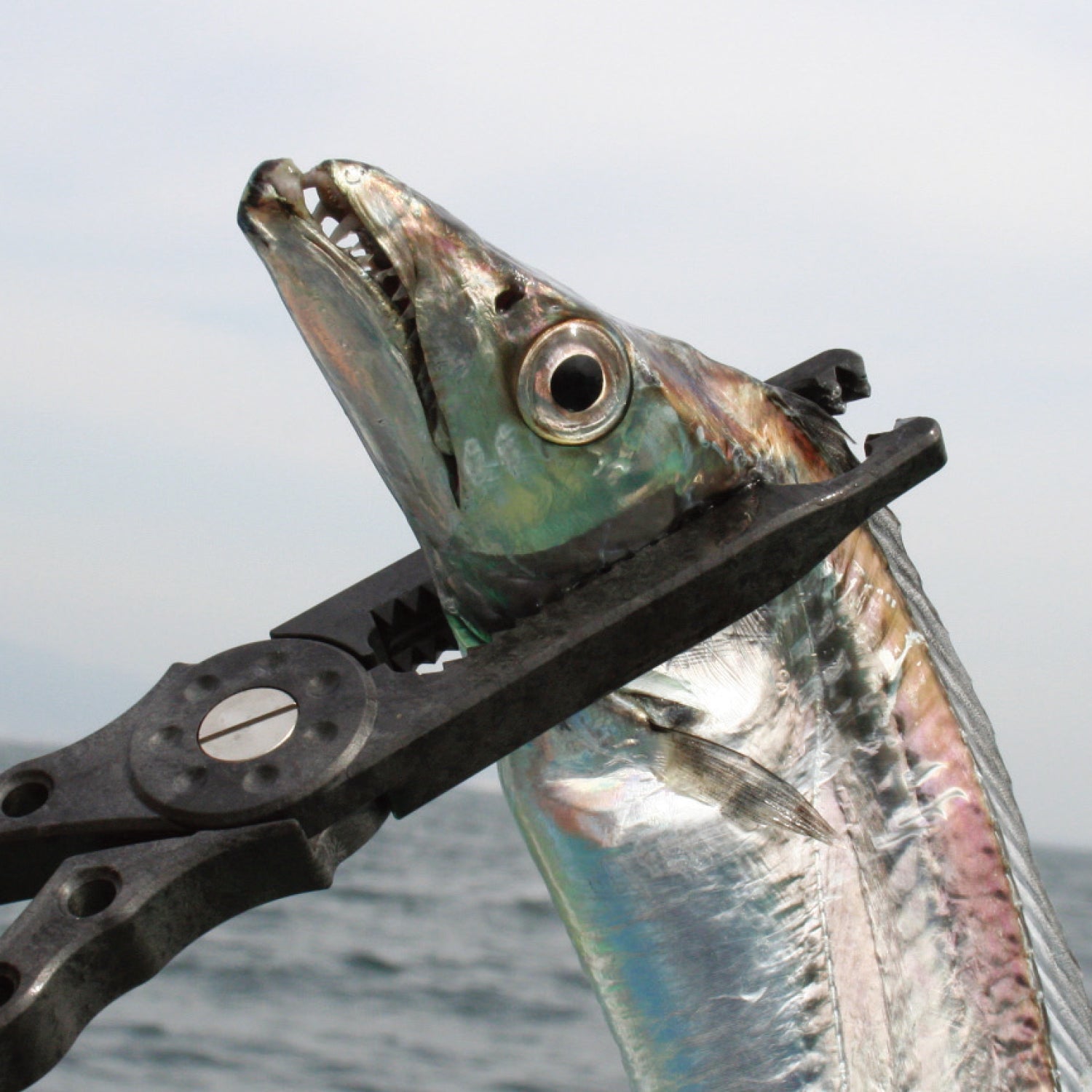 Daiichiseiko MC Custom Gar Grip