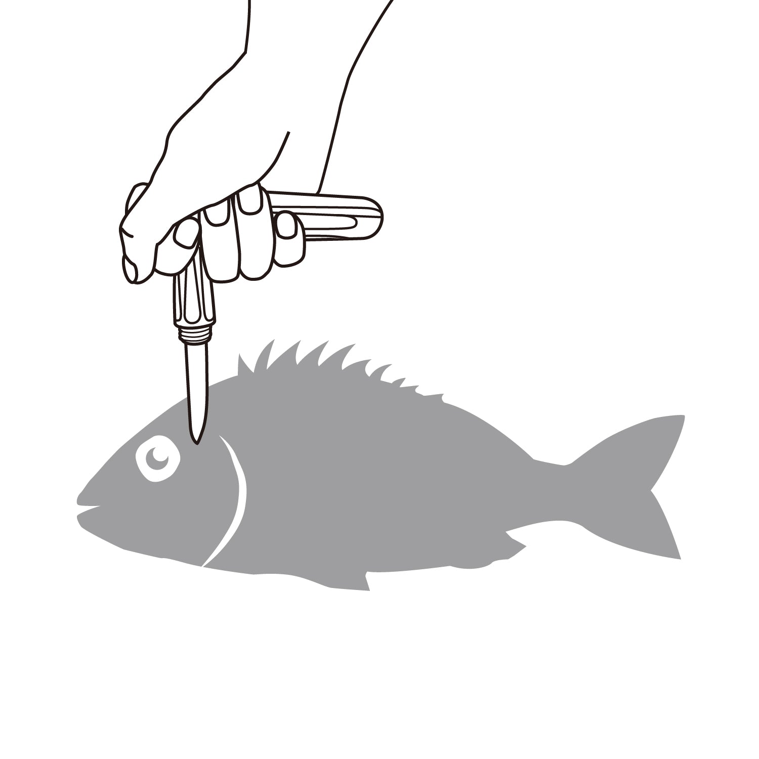 Daiichiseiko MC T HANDLE KNIFE #70 Iki Jime Fish Knife