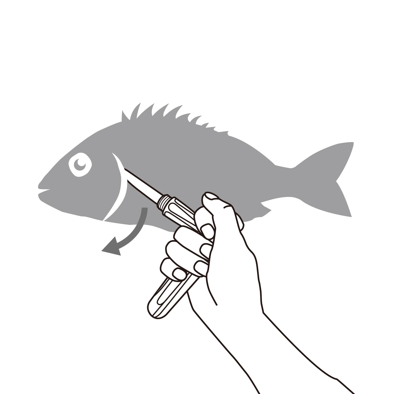 Daiichiseiko MC T HANDLE KNIFE #70 Iki Jime Fish Knife