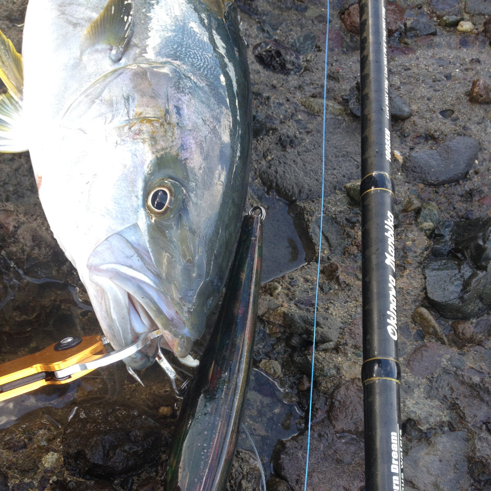 Tailwalk OKINAWA MANBIKA 100SSXH P3 Shore Jigging Rod