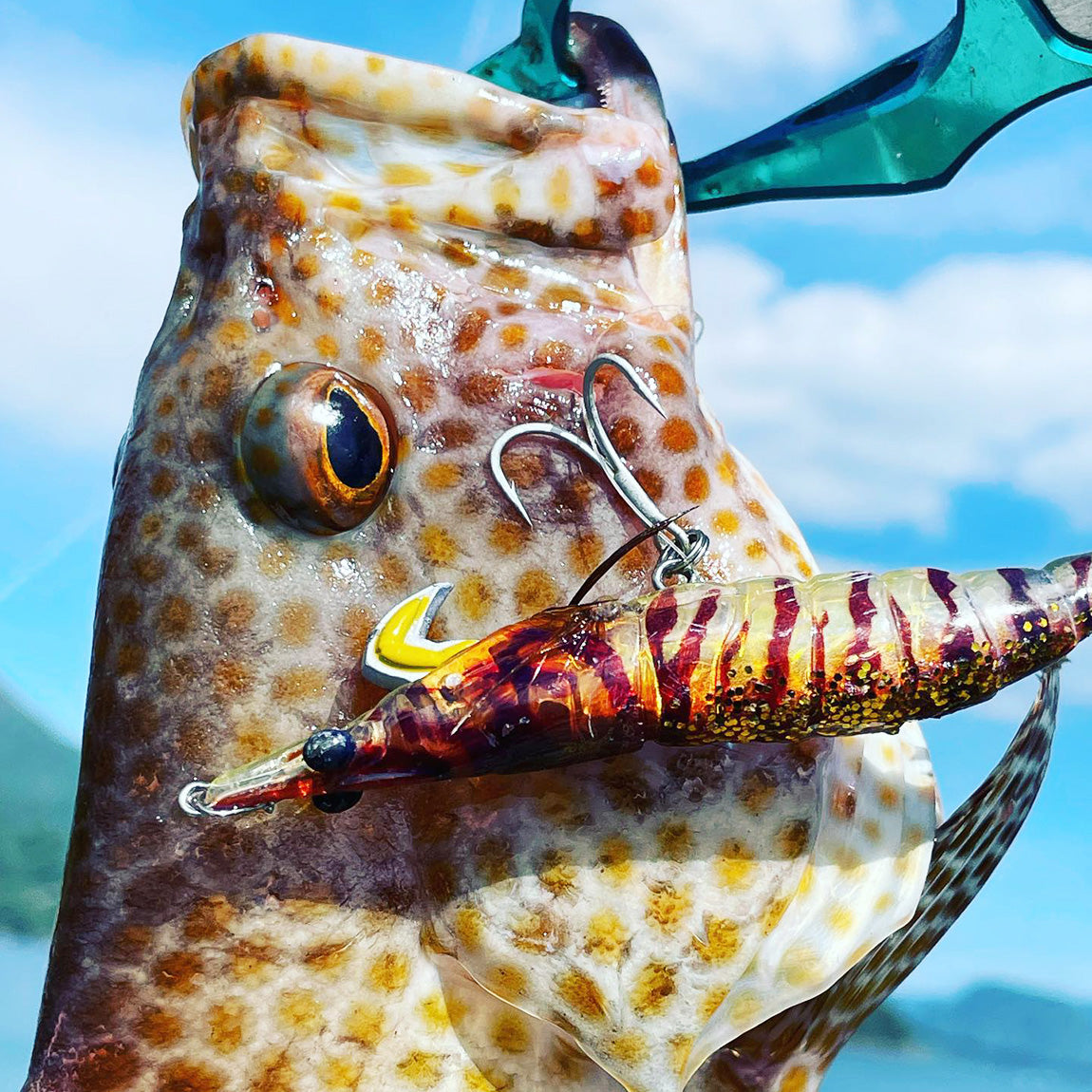 Little Jack Onliest Fish and Squid Jig