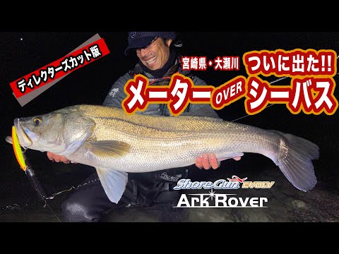 Palms Shore Gun EVOLV SFTGS-103MH Shore Jigging Rod