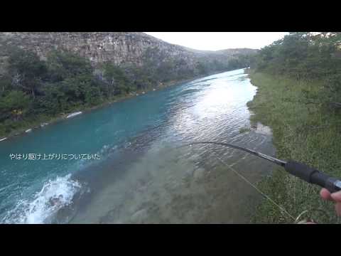 Transcendence Currents82 98S+ Rev2 Shore Jigging Travel Rod