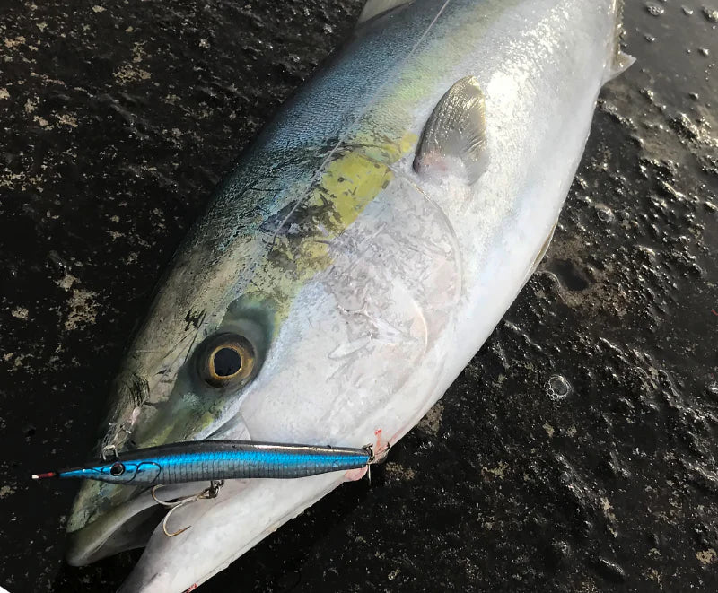 Little Jack Sayoris Z 133 Topwater Stickbait